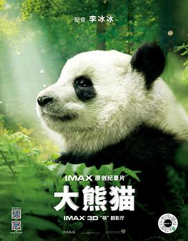 熊猫2d